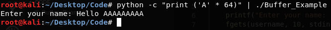 Running python code in Kali Linux