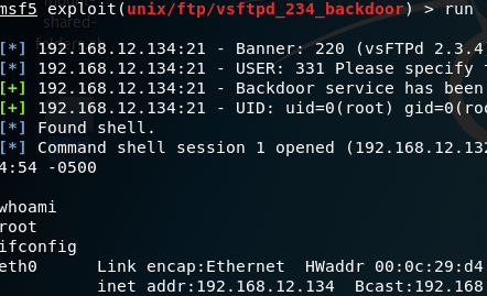 Running Metasploit command on Kali Linux