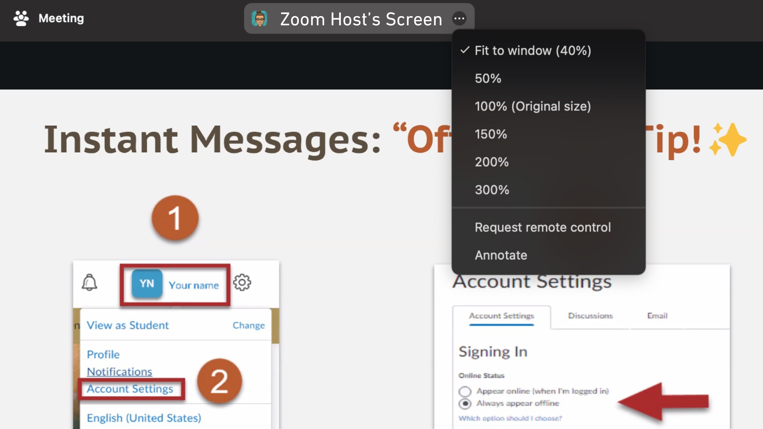 A Zoom meeting host's screen view dropdown is extended to show magnification options for viewers.