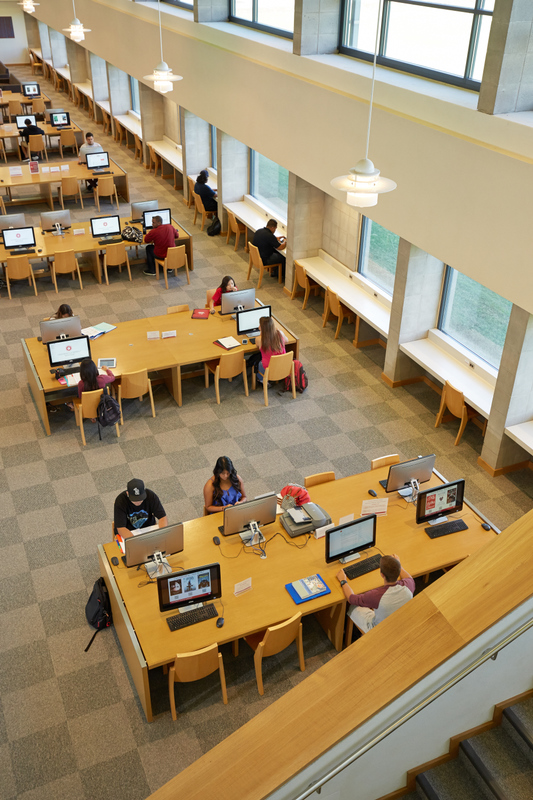 Students in the library