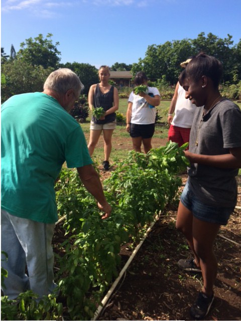 Students participating in Service Learning project