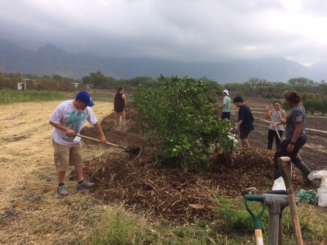 Students performing service learning work at MAʻO Organic Farms.