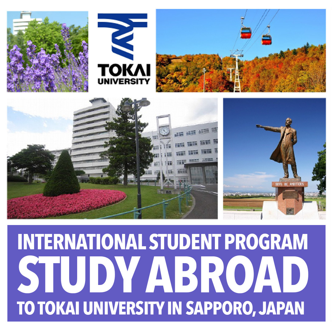 Tokai Study Abroad Program image