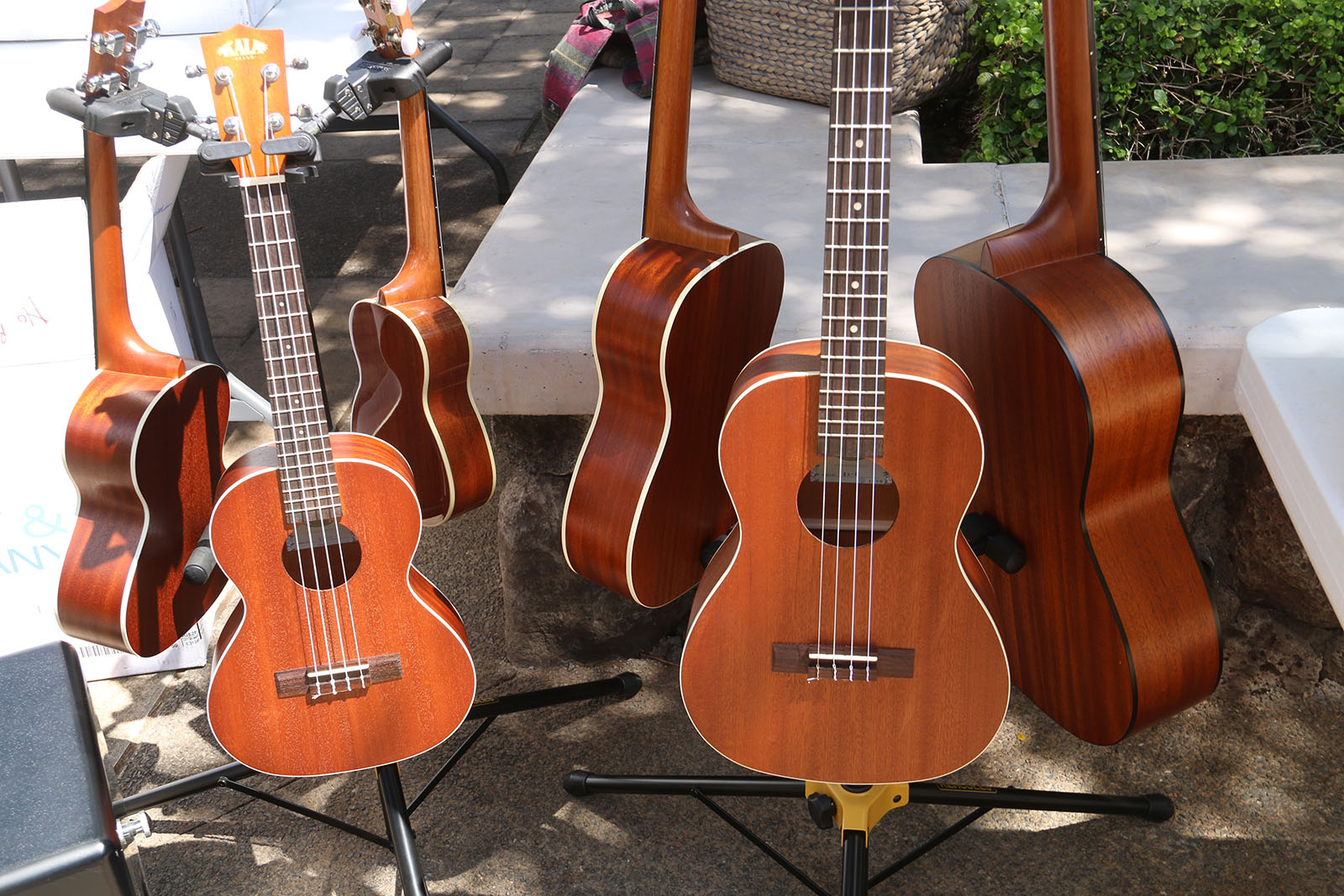 A rack of guitars and ukulele.
