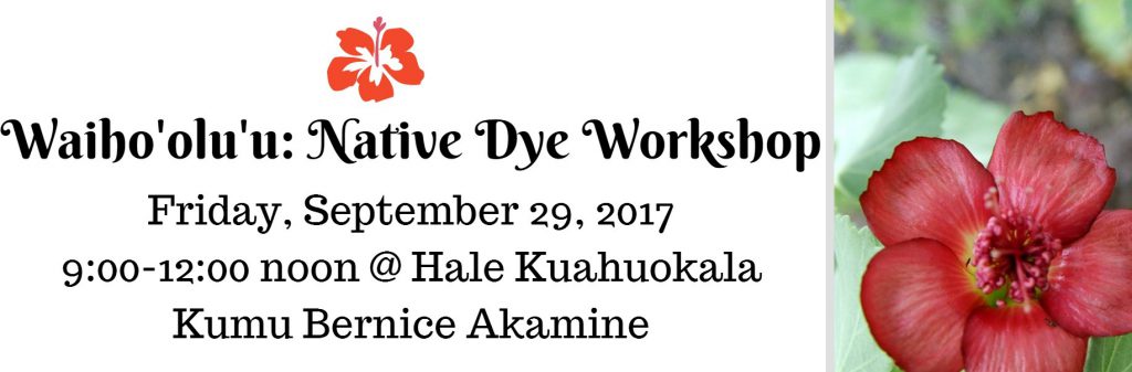 Fyler for Dye Workshop