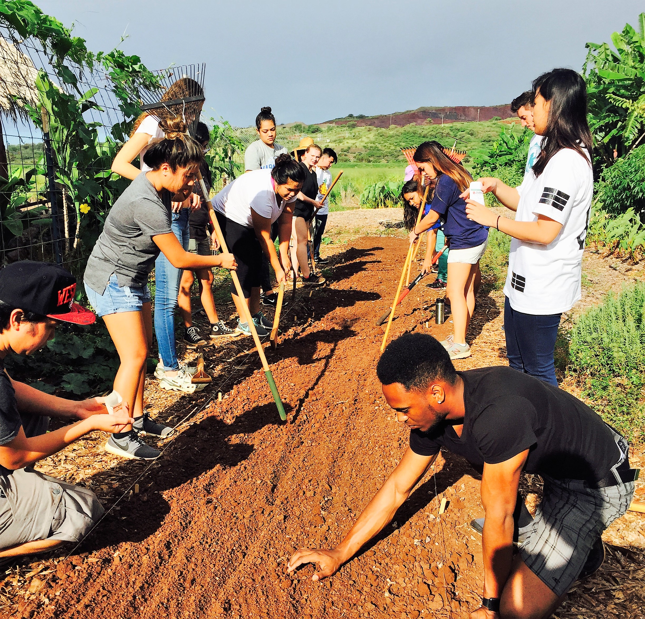 Photo of UHWO students in the Student Organic Garden
