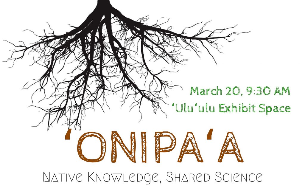 Onipaa Roots of Wisdom flyer with information similar to what is in the article