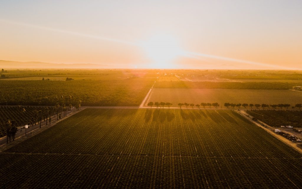 photo of sun rising over farm land