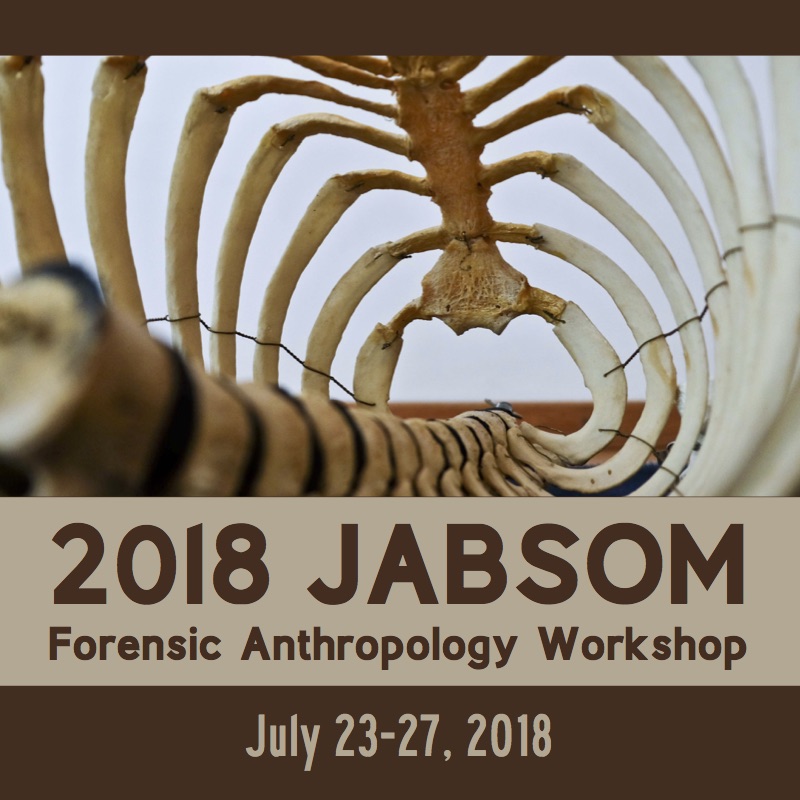 graphic of skeleton and words 2018 JABSOM Forensic Anthropology Workshop and dates