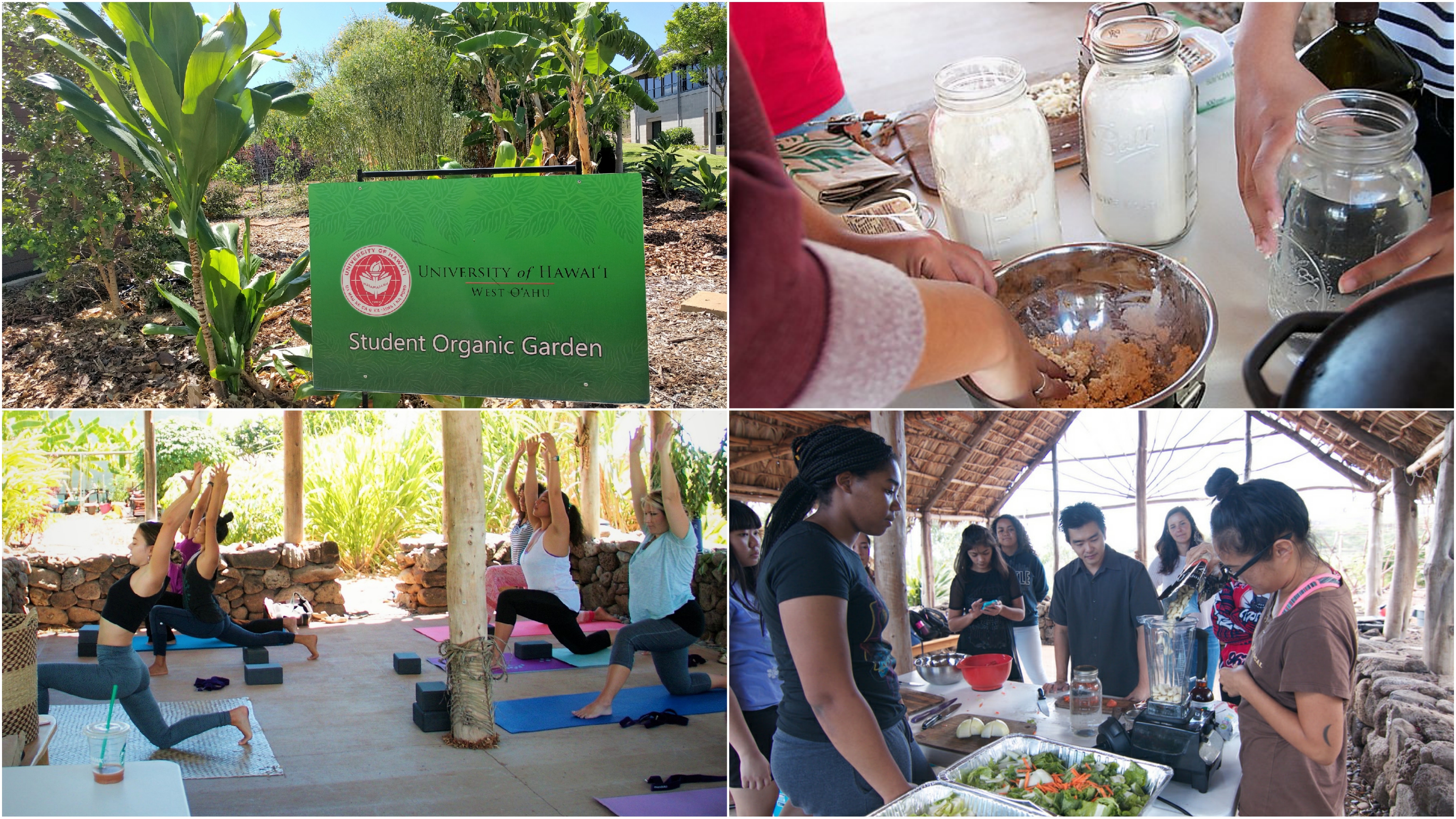 Four photos of the garden Workshops that were previously held at Hale Kūahuokalā are shifting to the Nāulu Center this semester.people preparing food items and people doing yoga with the caption