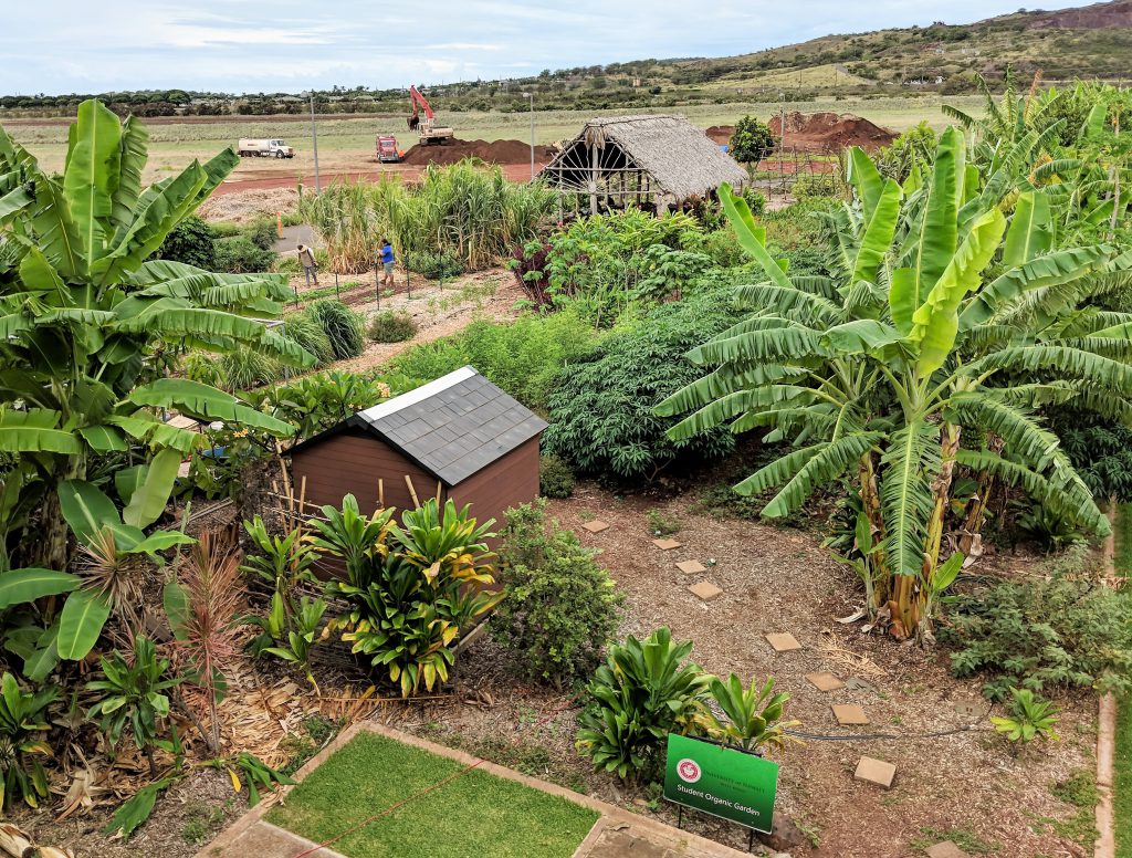 Photo looking down on a garden filled with banana plants, other growth and a hale