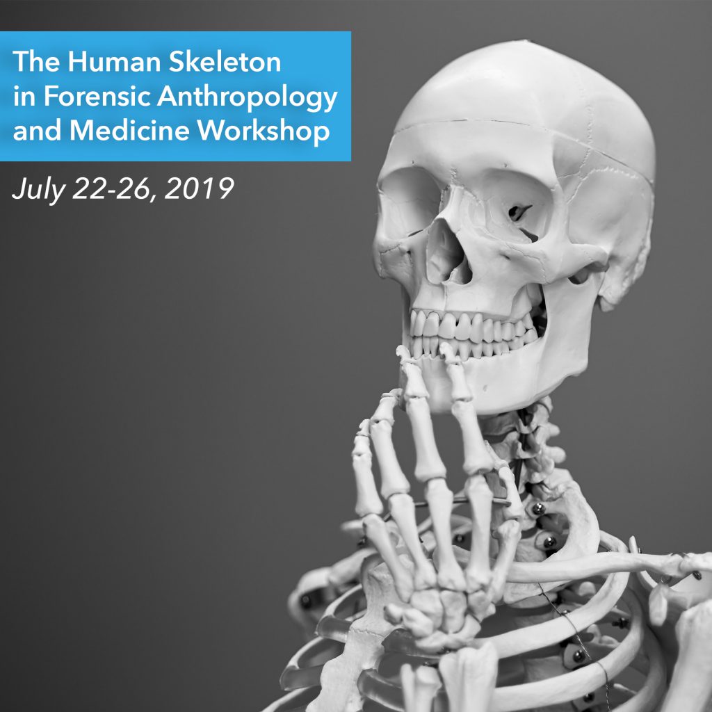 Photo of a Skeleton against a gray background with words the Human Skeleton in Forensic Anthropology and Medicine Workshop, July 22-26, 2019