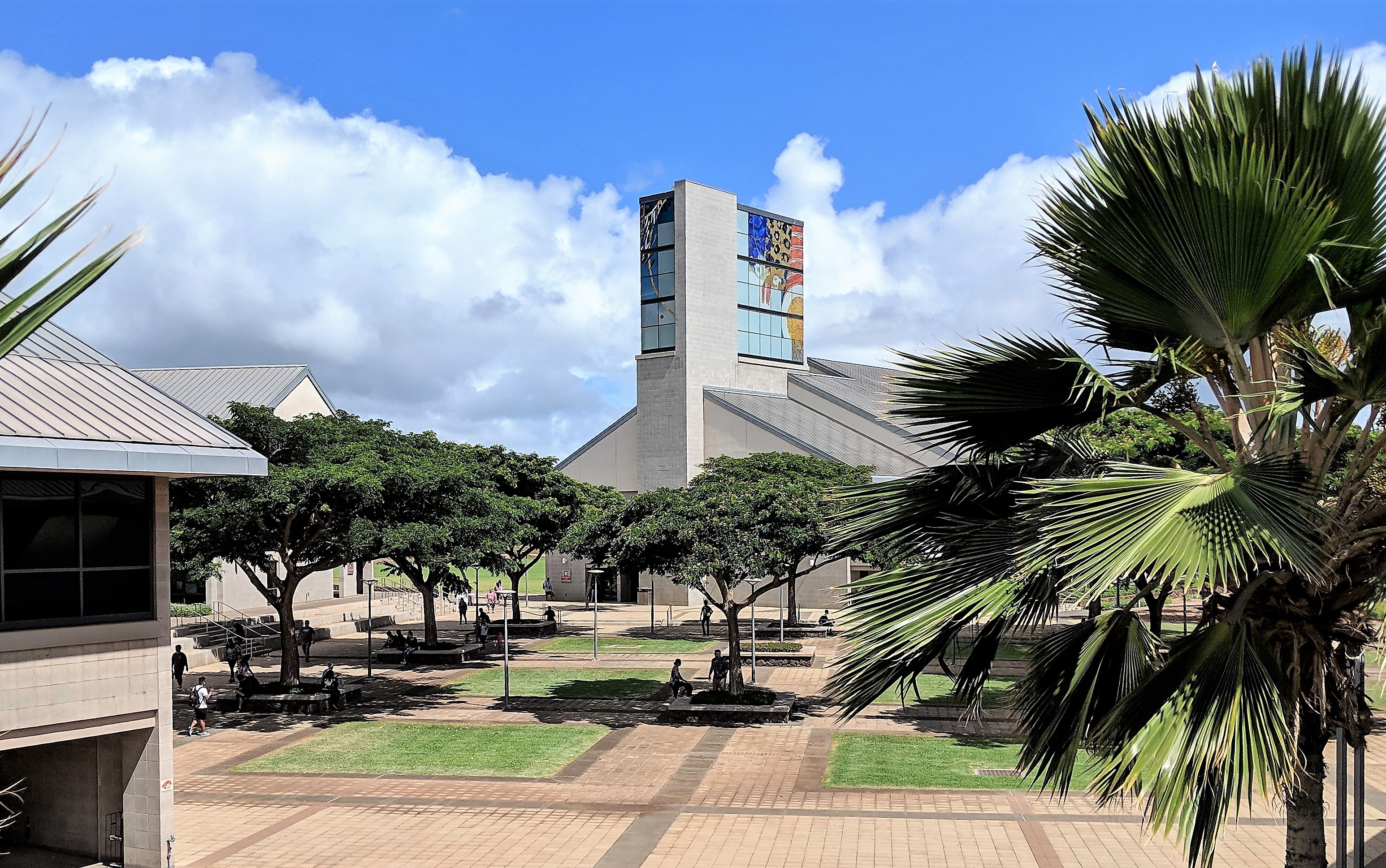 Photo of the UH West Oahu courtyard, which is filled with banyan trees. In the foreground are palm fronds. To the left is the campus' D building and in the background is the library building. Students are walking toward the D building.