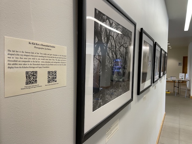 A wall with framed black-and-white photographs.