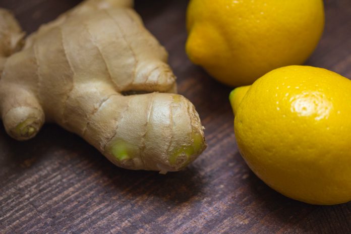 Ginger root and two lemons on a wooden table.