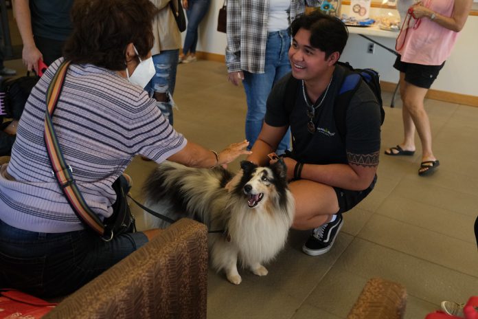 A student smiling while petting a dog.