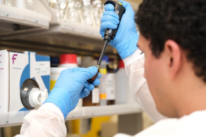 Image shot from behind of a student wearing a white coat and blue gloves, and working in a lab.