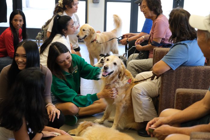 Students petting dogs in a library lobby.