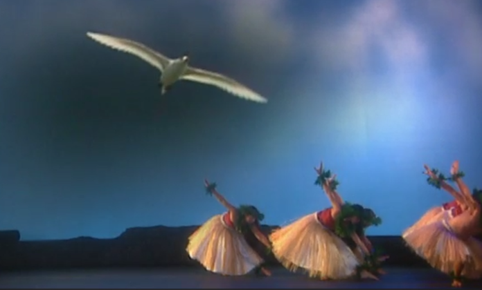 A screen grab showing hula dancers and a white bird flying above them.