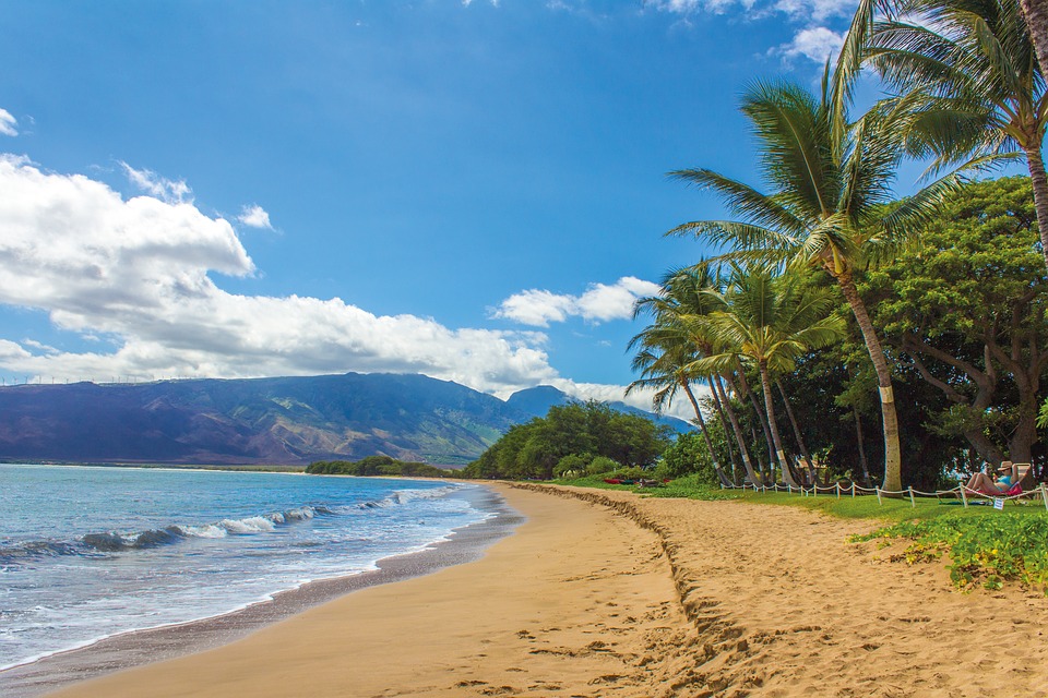 Photo of sunny day on a beach in Hawaii
