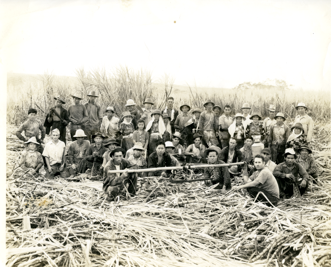 Image of plantation workers