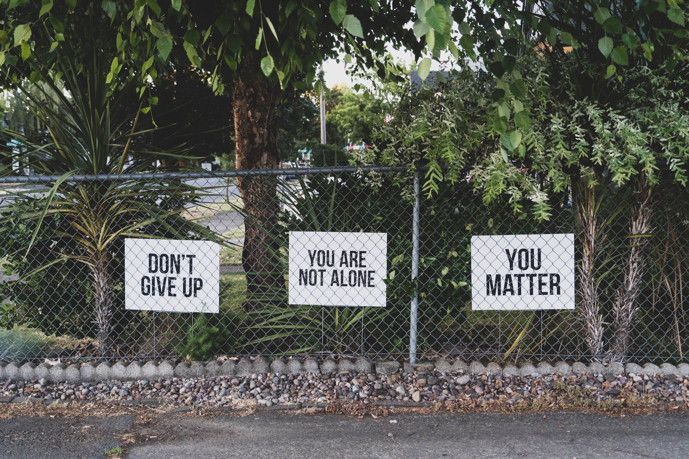 A picture of a fence with positive signs