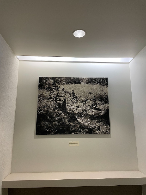 A picture of Jan Becket's photography, which is located in the library lobby.