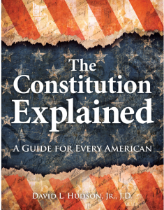 infographic for book title (The Constitution Explained)