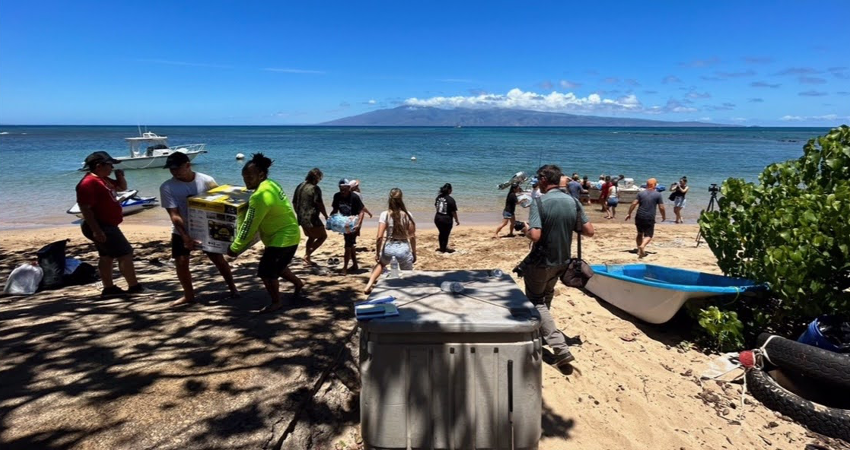 An image of people by a shoreline on Maui.