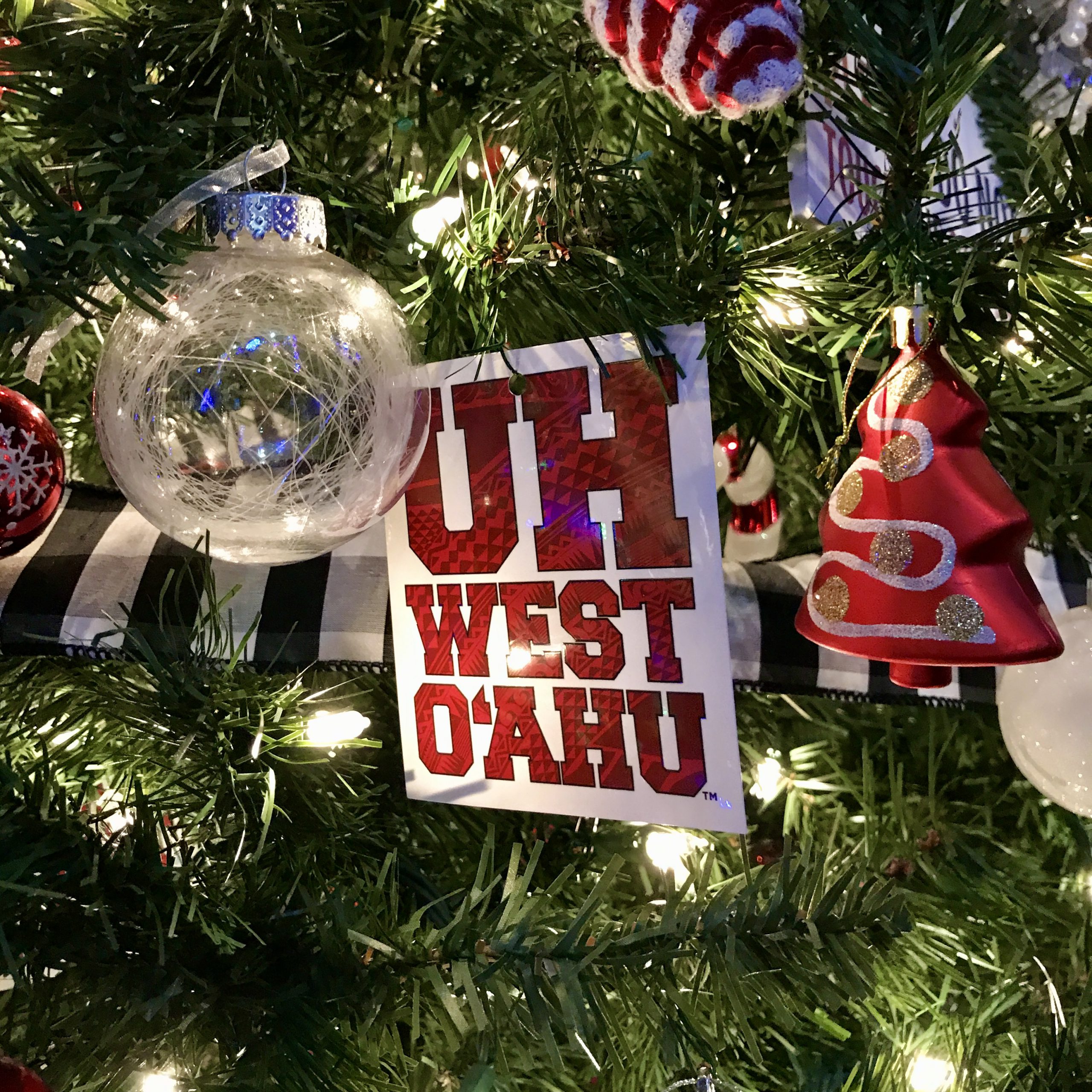 Closeup of Christmas tree ornaments, inlcuding one that says 