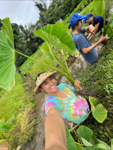 Sydney Millerd working in loʻi kalo