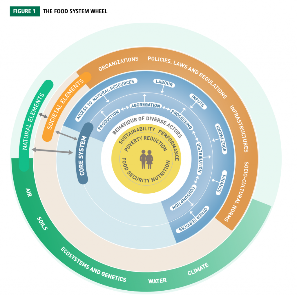 The UN food system wheel