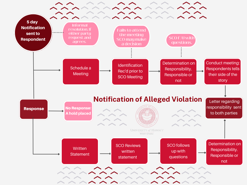 Flowchart for the notification of alleged violation.