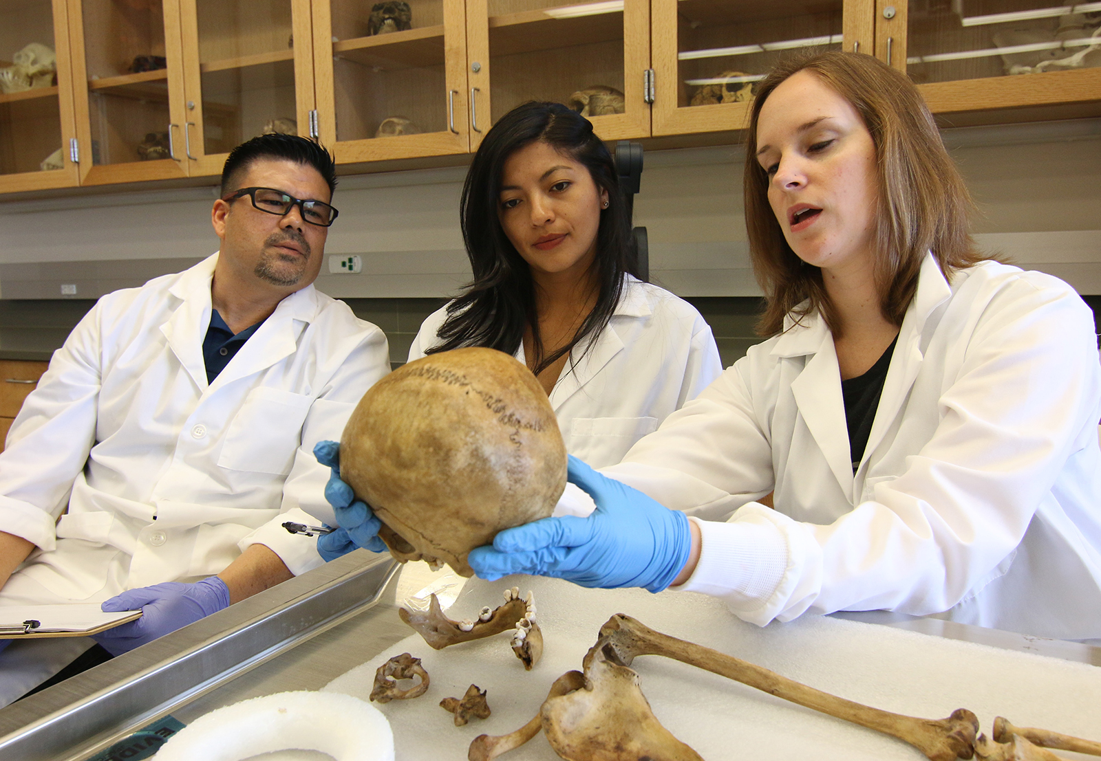 A professor and two students inspecting a human skull.