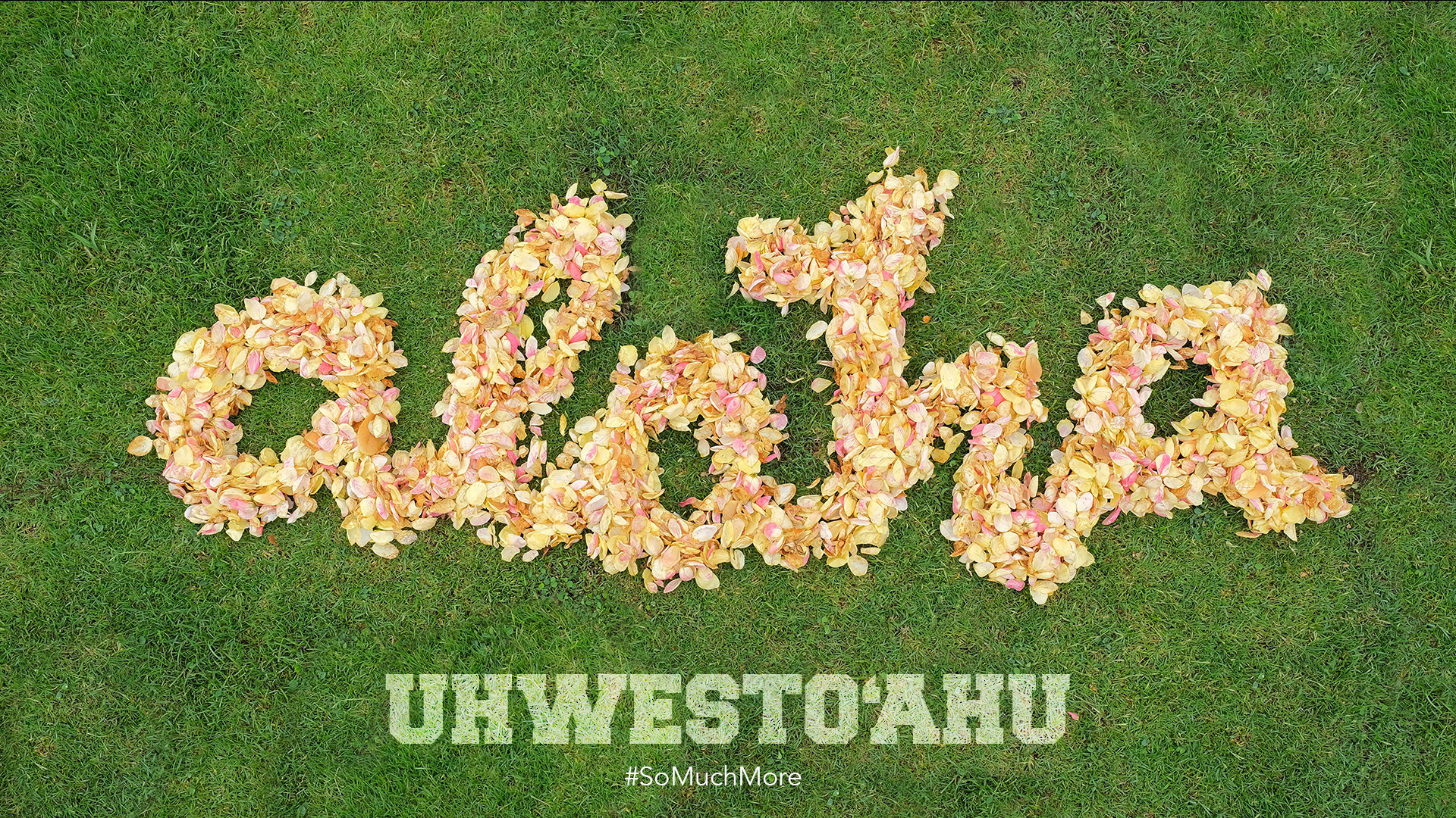 The words Aloha written on the great lawn made out of flower petals.