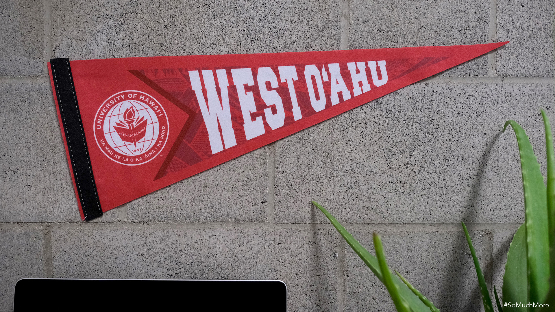 UH West Oahu pennant displayed on a wall.