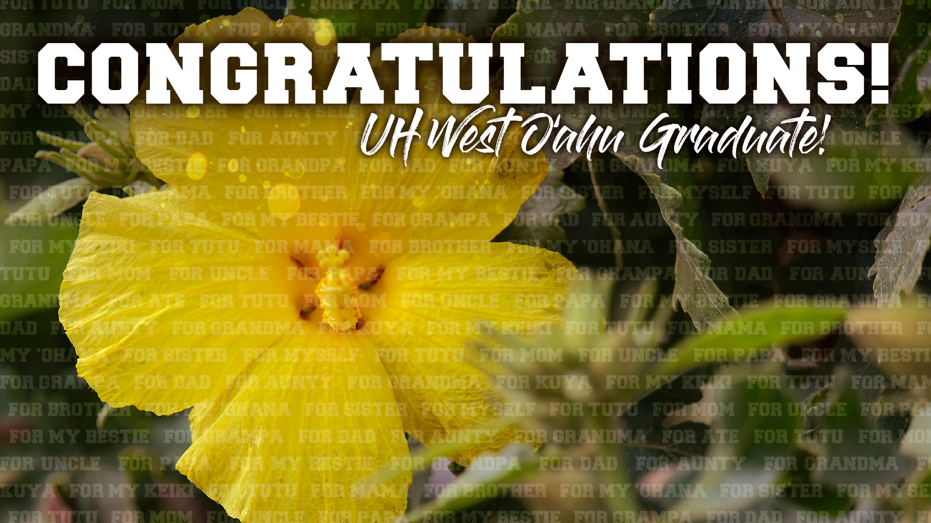 Congratulations UH West Oahu Graduate graphic for Zoom background.