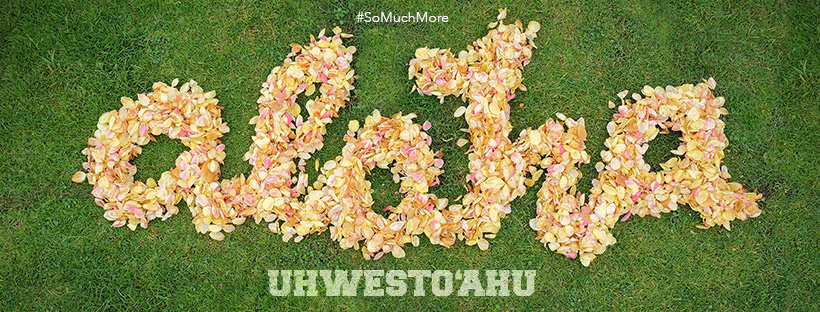 The words Aloha written on the great lawn made out of flower petals.